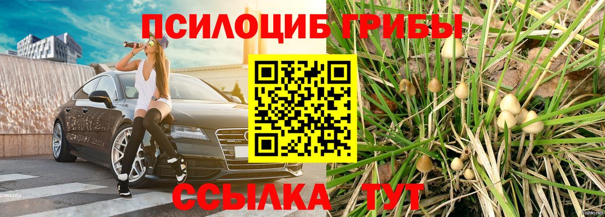 Псилоцибиновые грибы MAGIC MUSHROOMS  Галлюциногенные грибы GOLDEN TEACHER  Вход с VPN  Подольск 